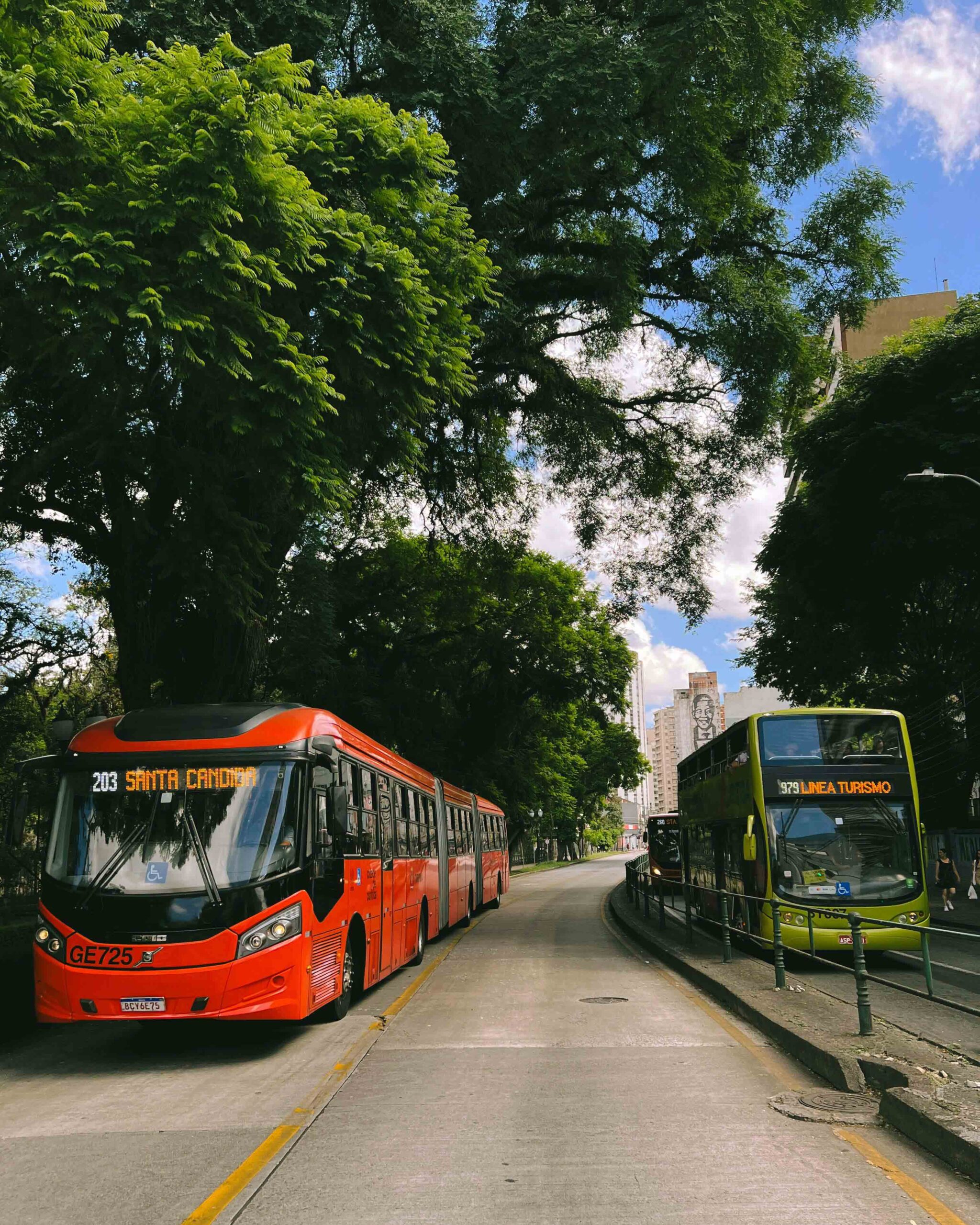 buses parqueados